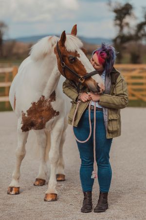 horse-photography