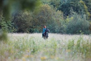 horse-photography
