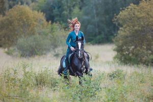 horse-photography