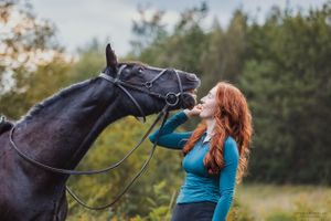 horse-photography