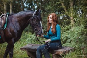 horse-photography