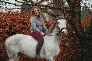 horse-photography
