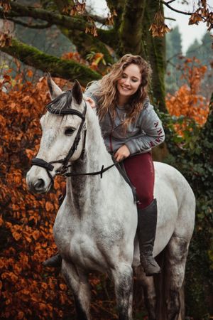 horse-photography