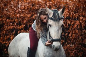 horse-photography