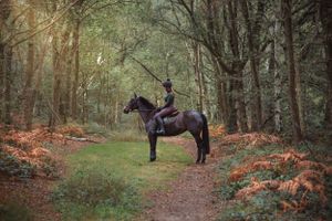 horse-photography