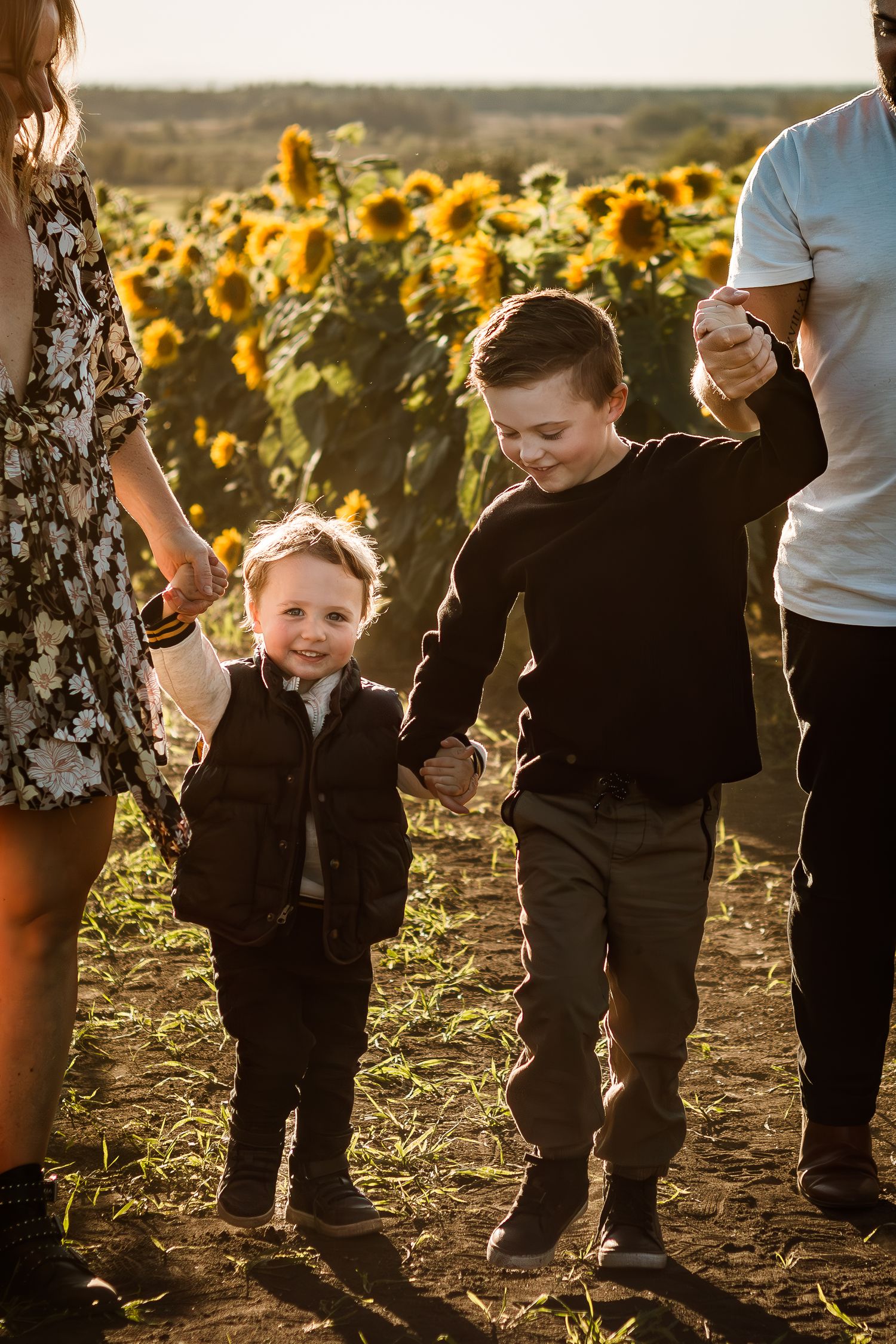 Cute family photos at sunflower fields during golden hour at Bowden Sunmaze: mini sessions by Calgary photographer.