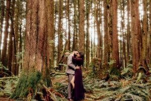 A romantic scene unfolds in a misty forest with moss-covered trees and ferns creating a magical atmosphere.