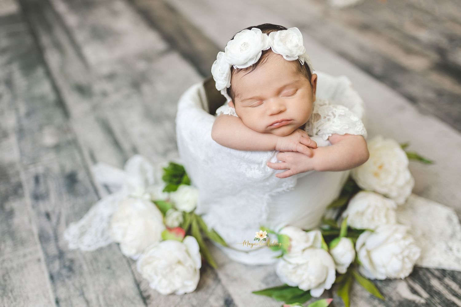 newborn photographer montgomery county pa, huntingdon valley pa, buckscounty pa, philadelphia pa
