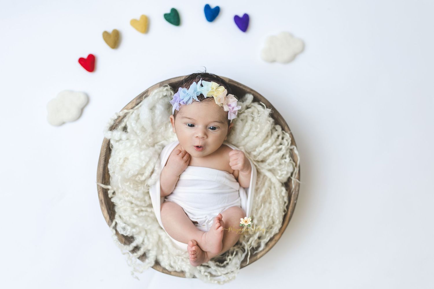 newborn photographer montgomery county pa, huntingdon valley pa, buckscounty pa, philadelphia pa