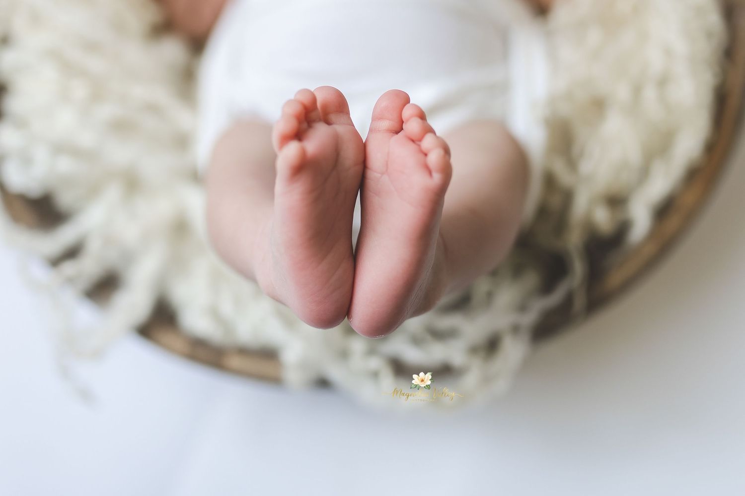 newborn photographer montgomery county pa, huntingdon valley pa, buckscounty pa, philadelphia pa