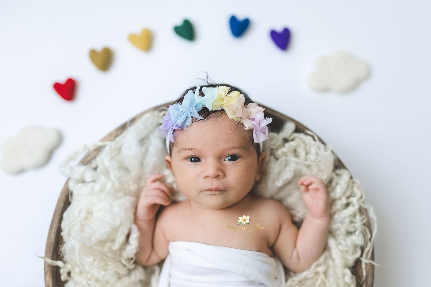 newborn photographer montgomery county pa, huntingdon valley pa, buckscounty pa, philadelphia pa