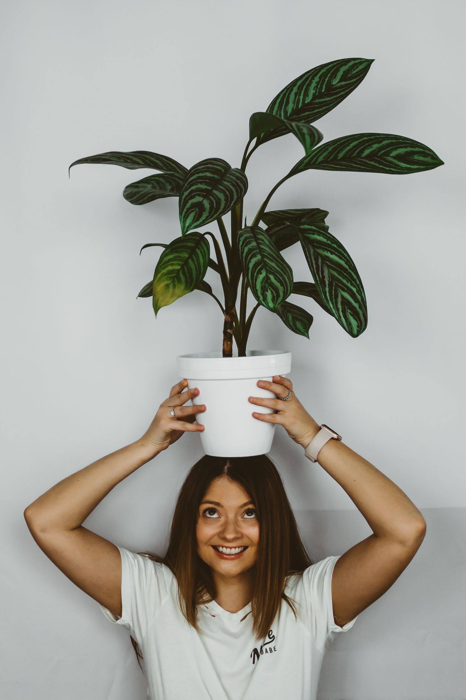 A playful portrait balancing a potted plant with green leaves on top of their head.