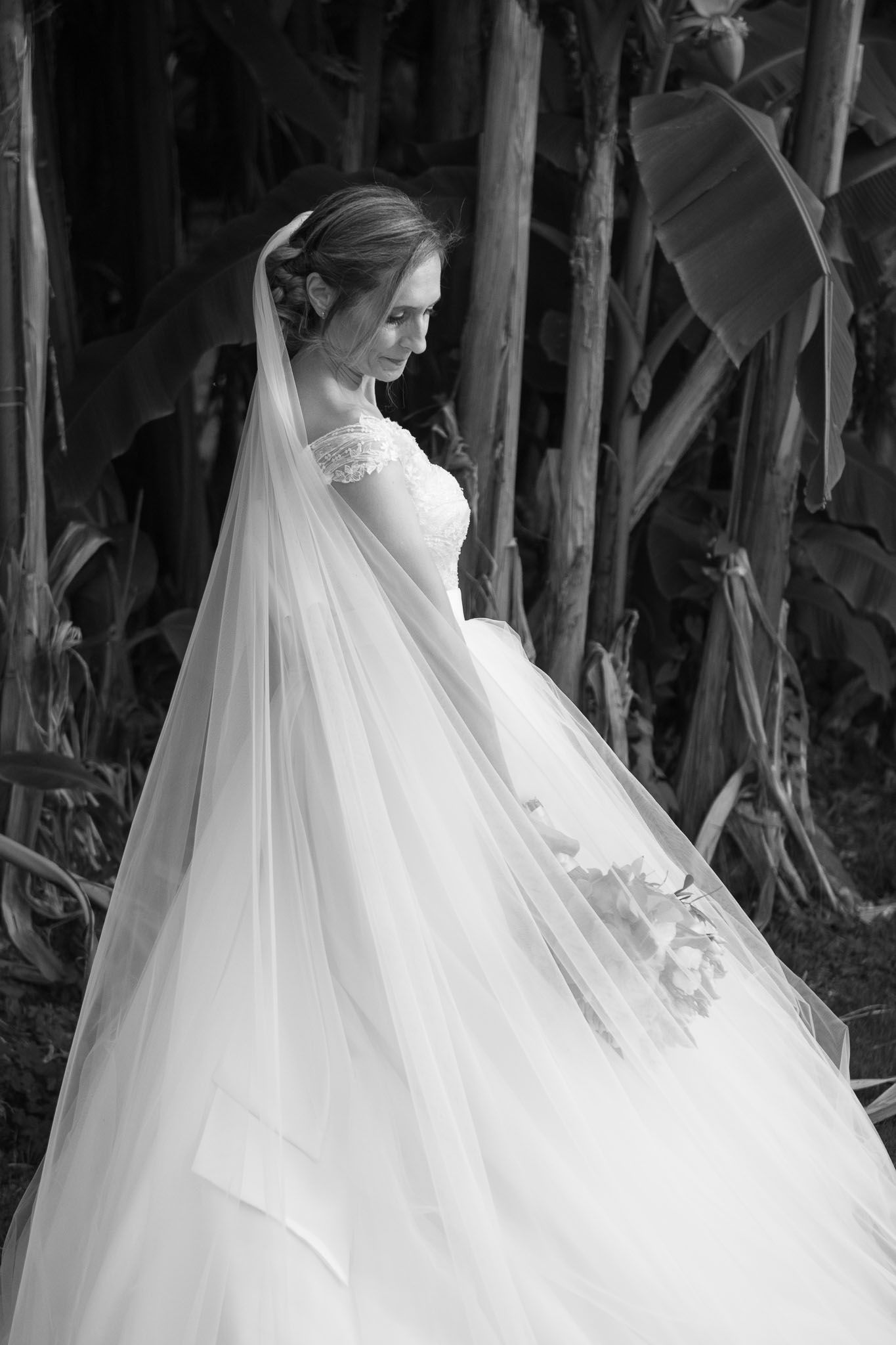 A black and white bridal portrait showcasing the flowing train and veil against a tropical backdrop.