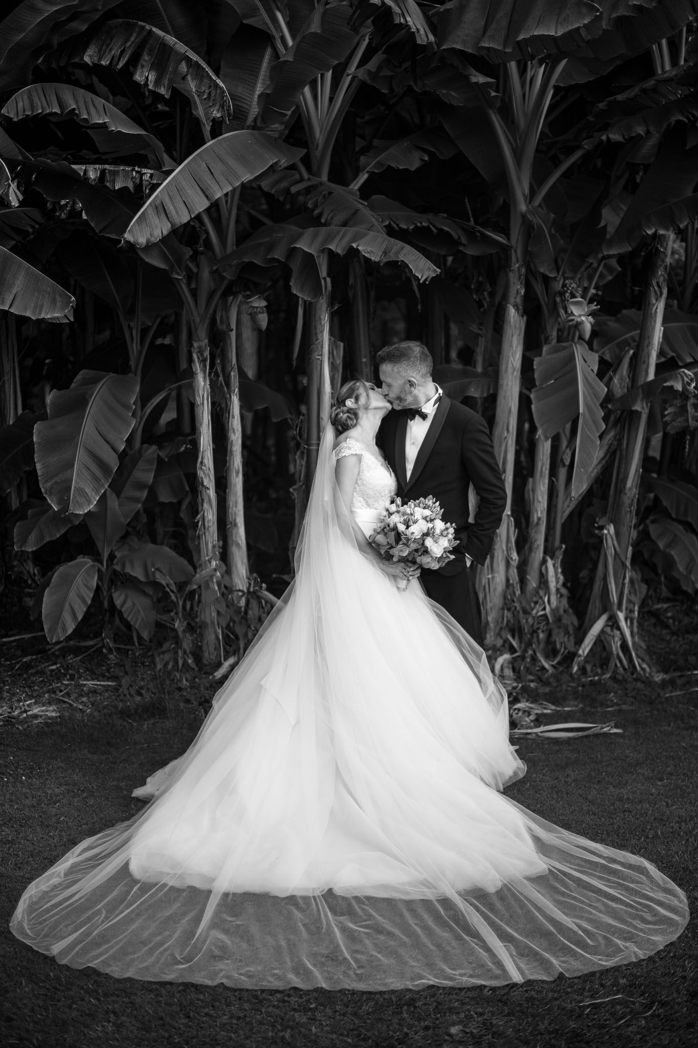 A dramatic black and white wedding portrait of a couple among banana trees with flowing white dress train.