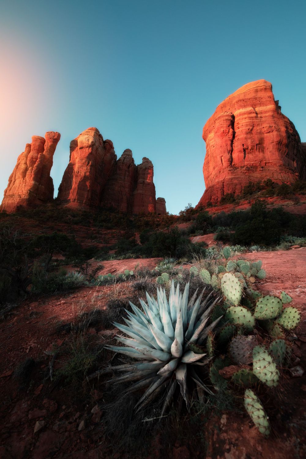 Red rock formations in Sedona with desert agave plants in the foreground at sunset.