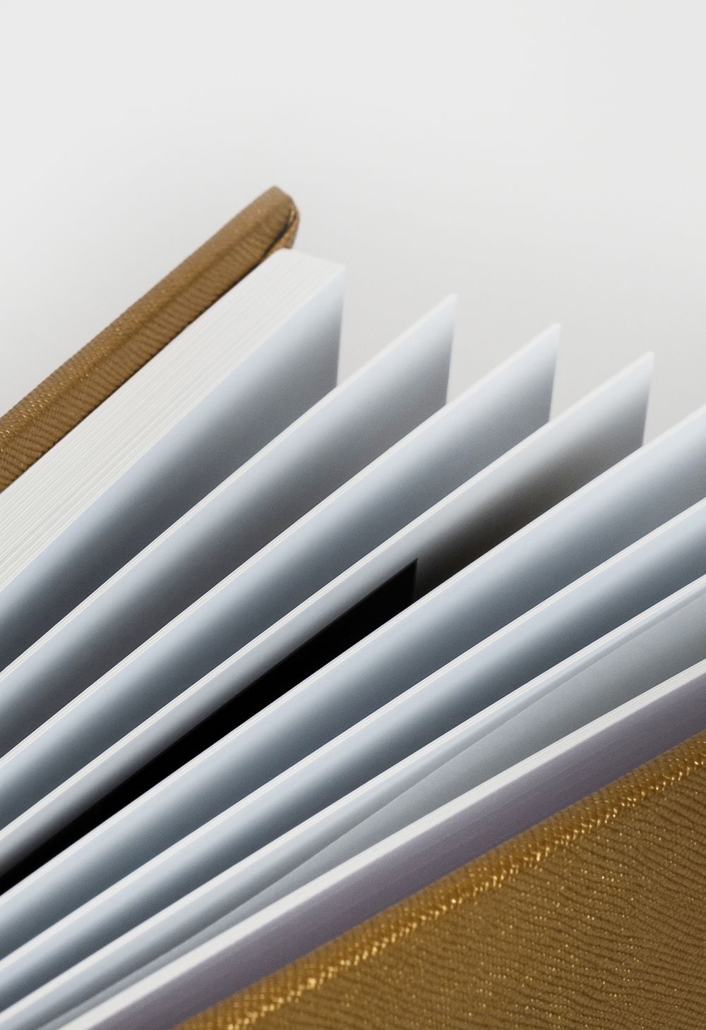 Close-up of white photo album pages fanned out against a gold linen cover.