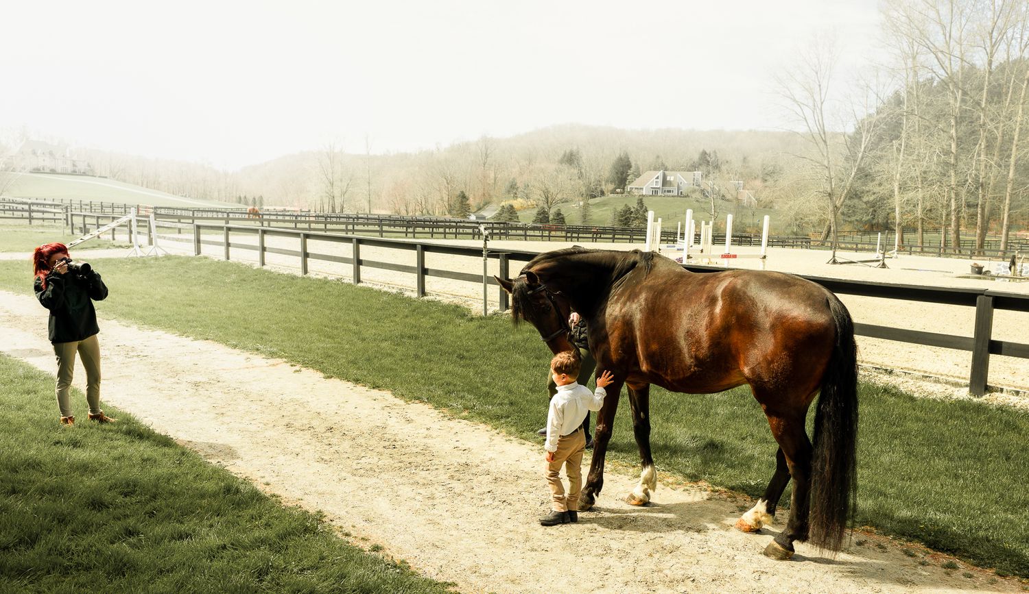 Horse and rider on dirt path alongside wooden fence in countryside setting.