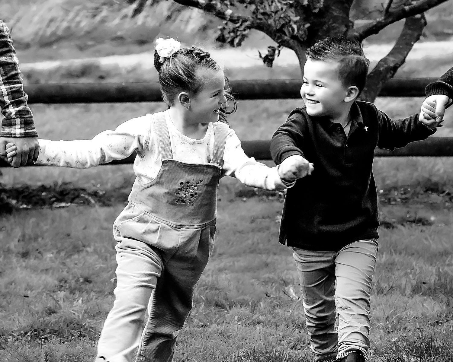 Palmerston North Family Photographer