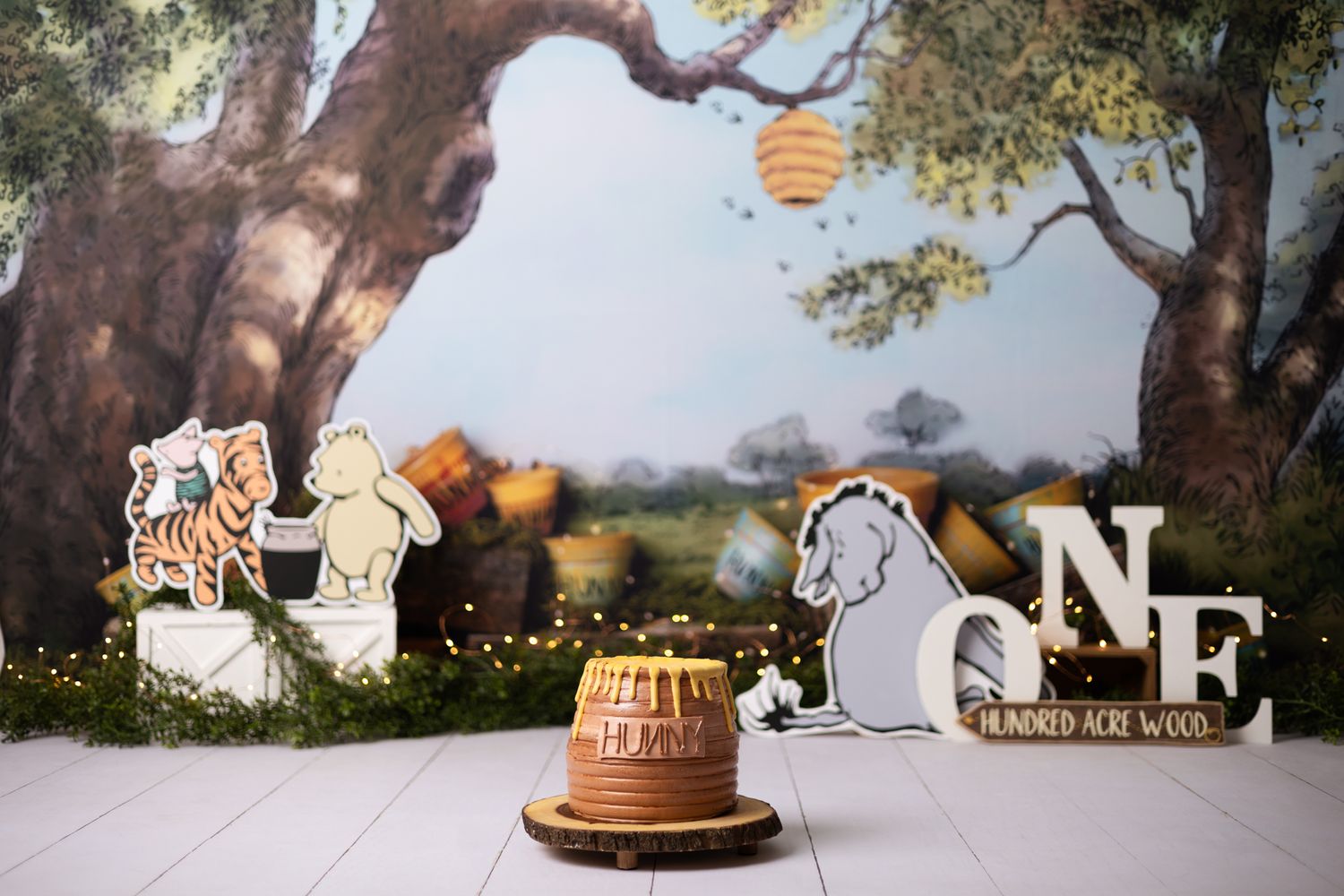 cake smash photography near me, miami baby birthday photoshoot, baby portraits near me