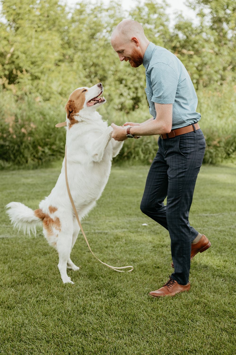A playful dog jumps up excitedly during an outdoor photoshoot.
