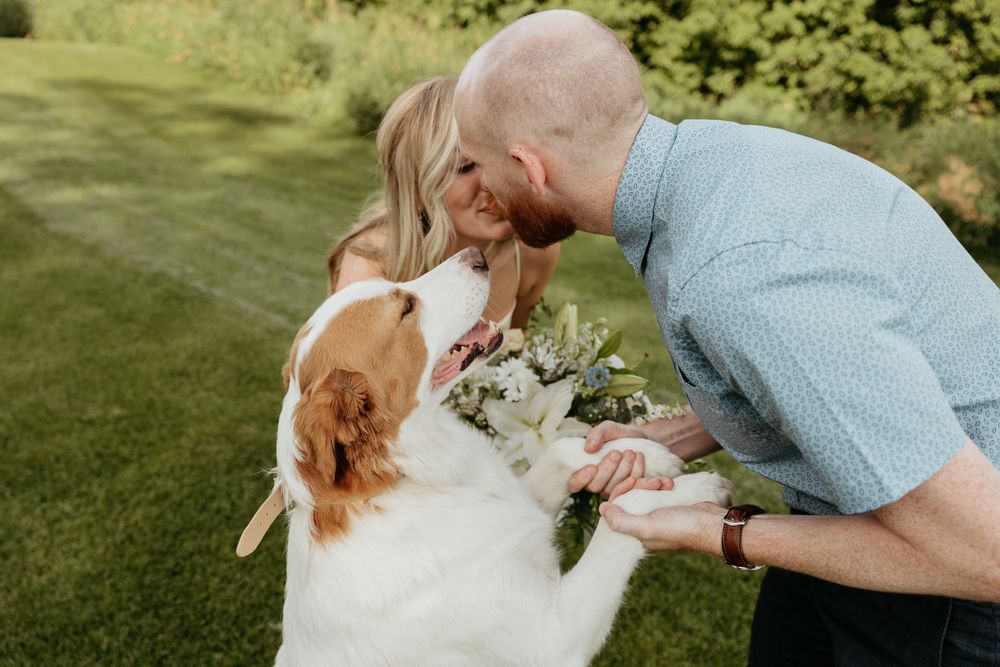 A white dog sits with a couple on a sunny outdoor path.