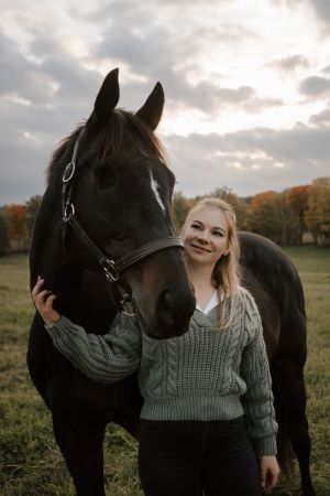 A beautiful black horse and companion share a close bond in the autumn sunlight.