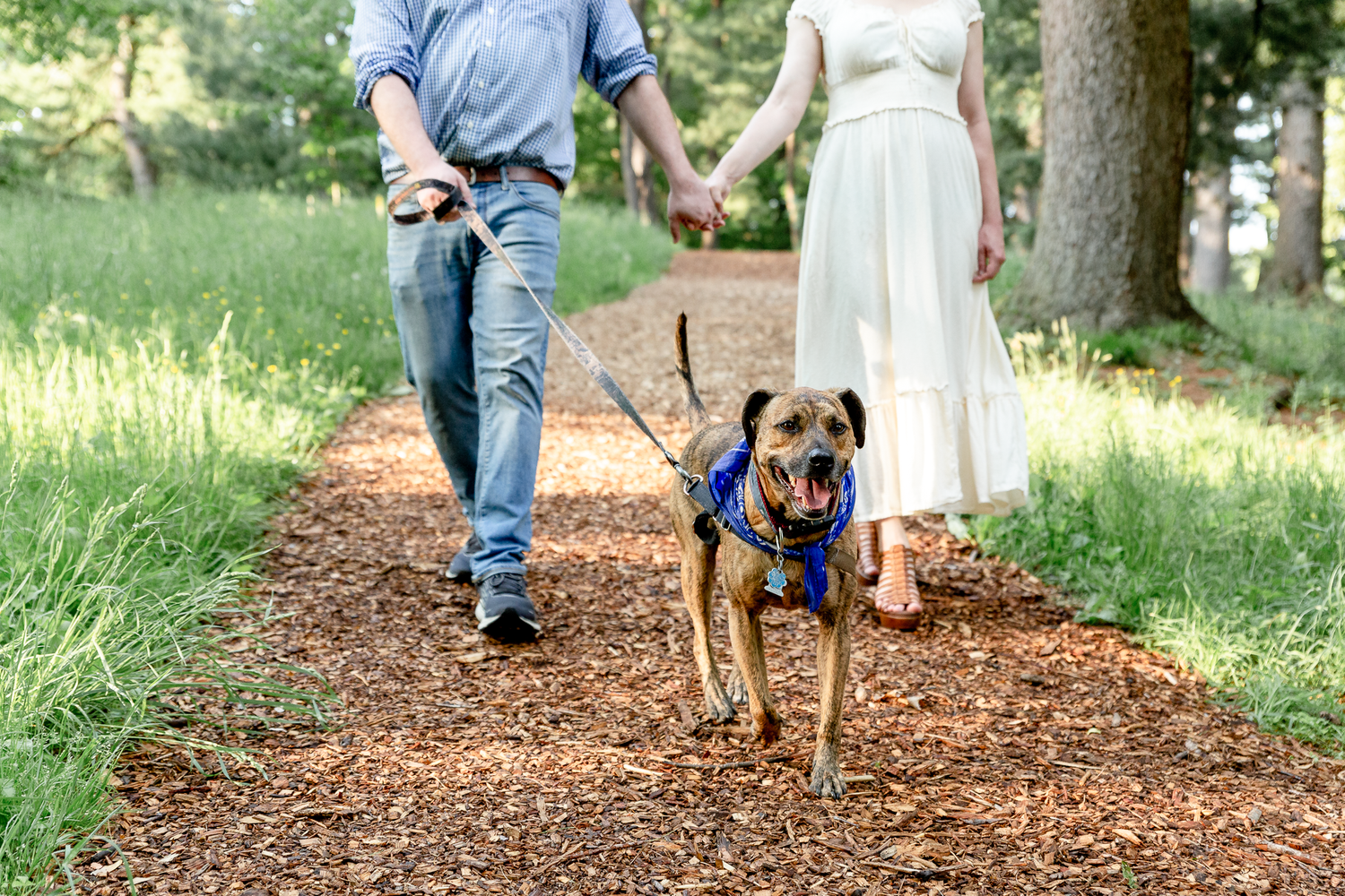 Couples photography walking on pathway in park holding hands with dog