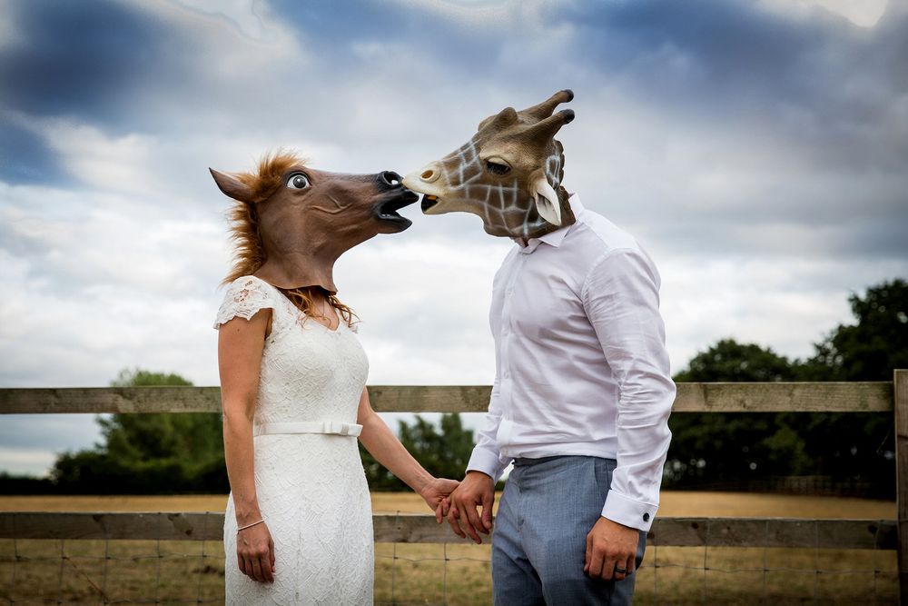 Bride & Groom wearing comedy animal masks