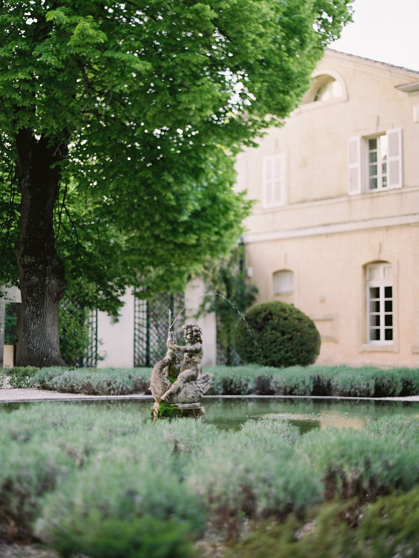 Peaceful garden scene with stone statue fountain and lavender against a French chateau.