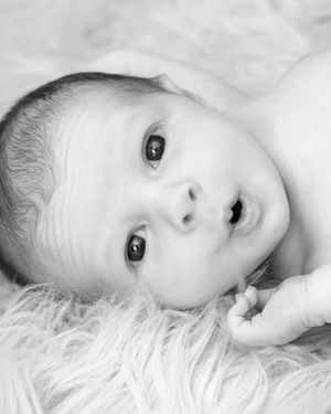 Newborn