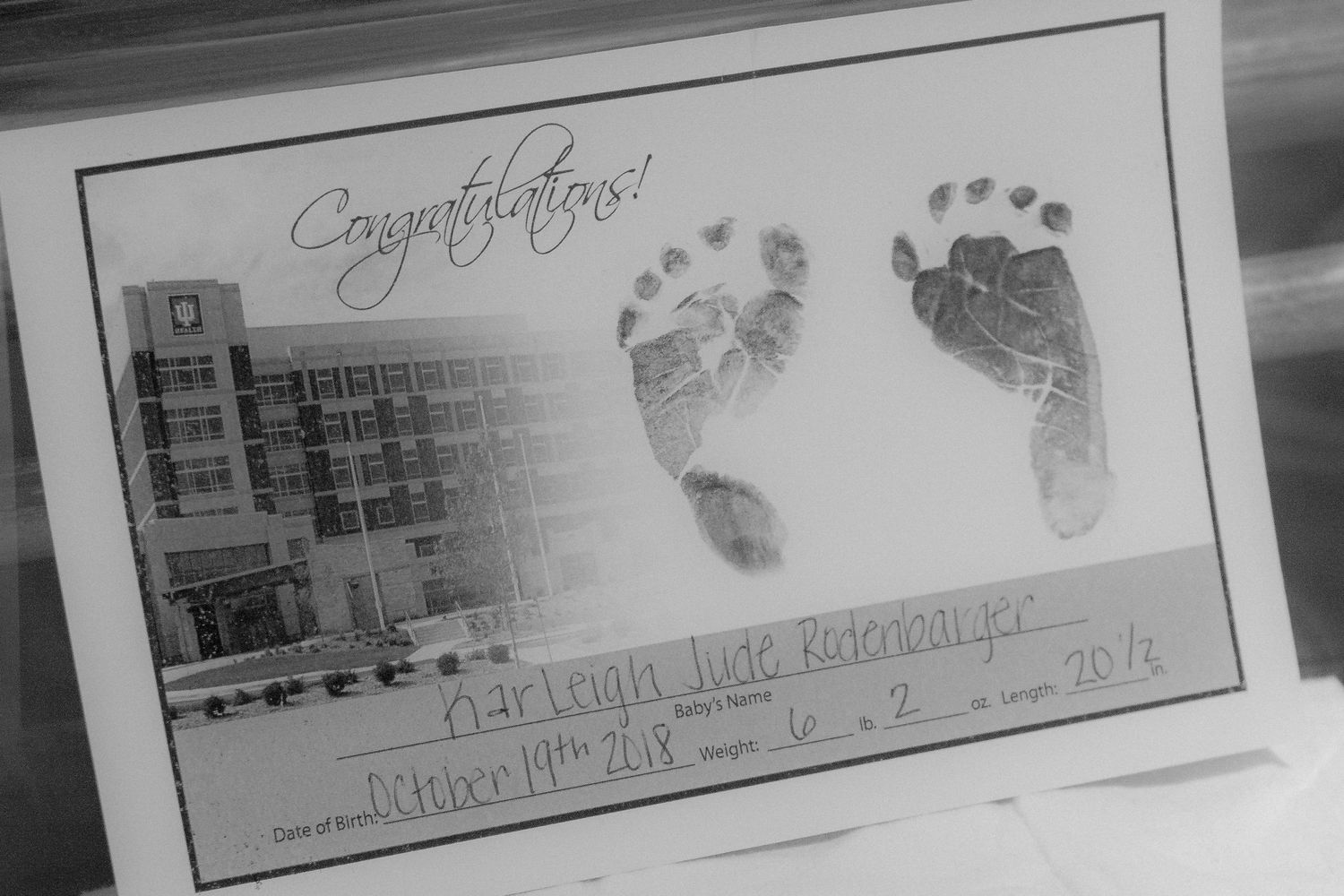 Birth Fresh 48 Photography West Lafayette, Indiana