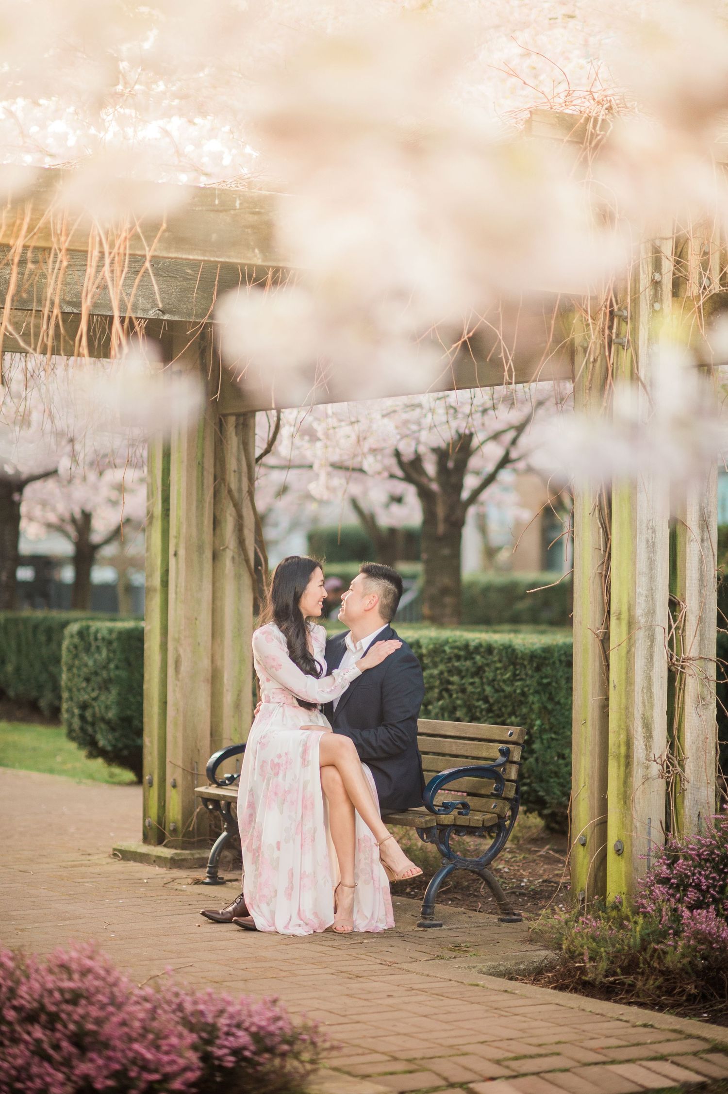 A romantic spring engagement photo under blooming cherry blossoms near a garden bench.
