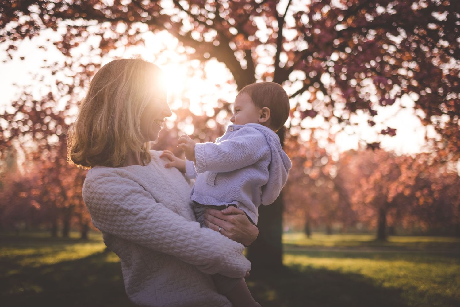 Une maman porte son bébé pour une séance photo dans un verger de cerisiers en fleurs dans les hauts de seine