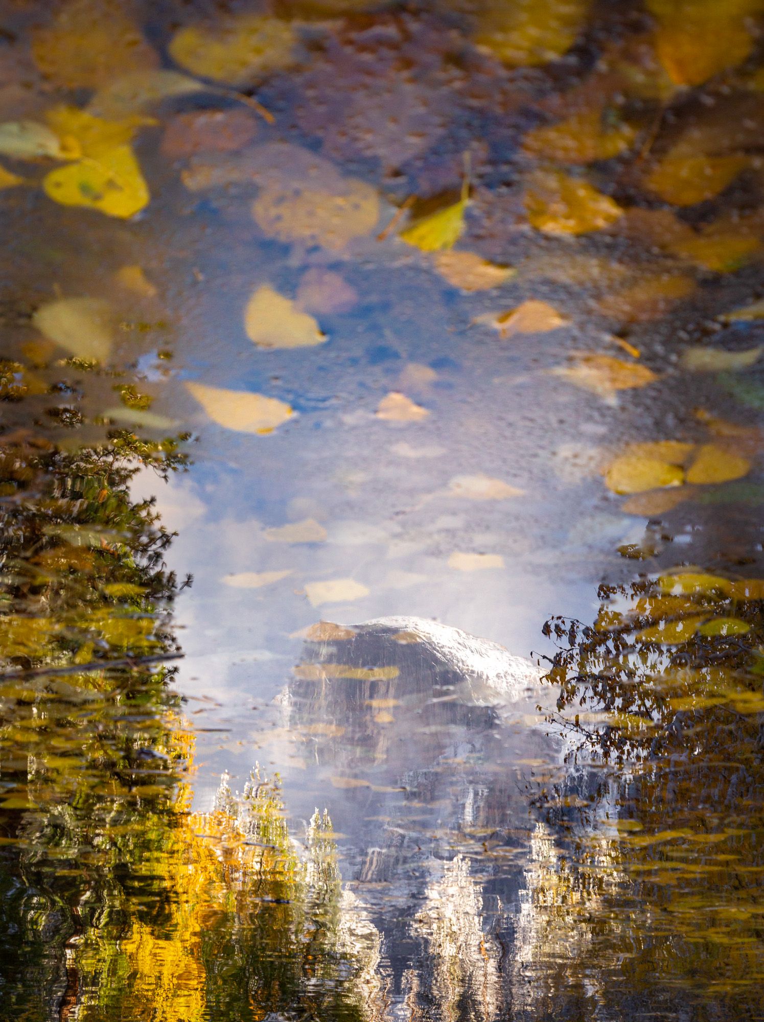 Abstract reflection of autumn trees and yellow leaves in rippling water with blue sky mirrored in the surface.