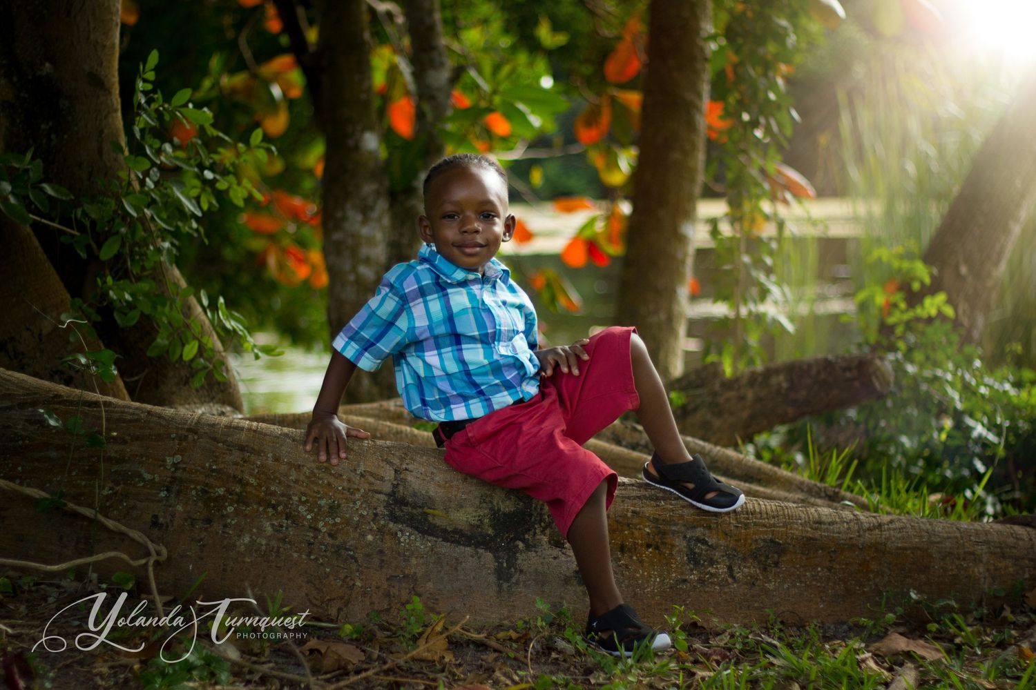 boy in forest nassau bahamas photographer