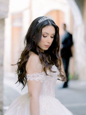 a gorgeous bride posing for her bridal portraits