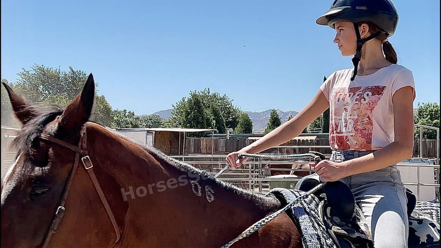 western saddles