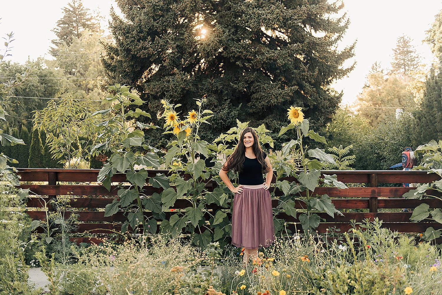 Scenic garden landscape with tall sunflowers, wooden terraced beds, and towering evergreen trees.