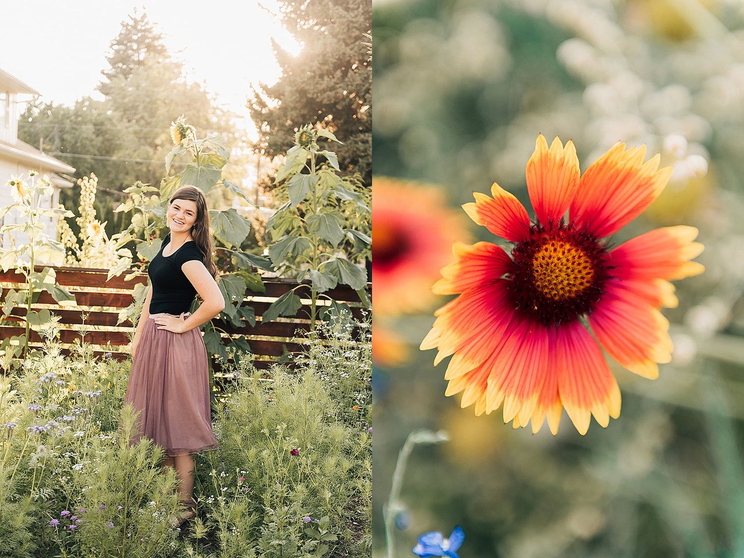 Garden scene with wooden terraces paired with close-up of vibrant red and yellow Gaillardia flower.