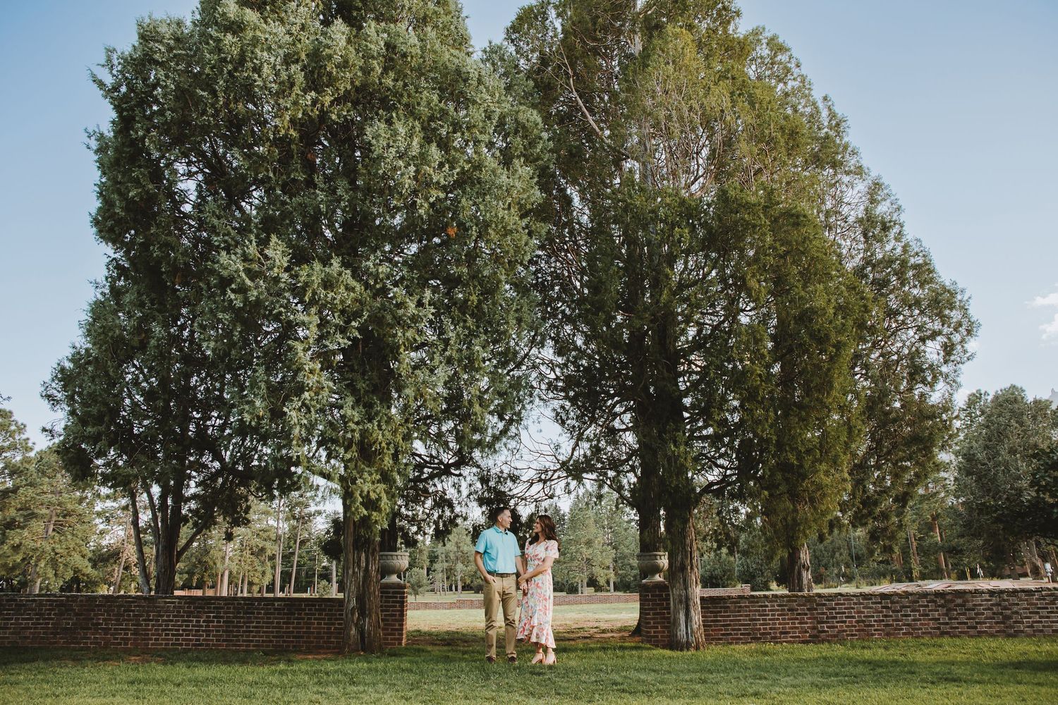 A couple shares a romantic moment under tall trees in a park setting during golden hour.