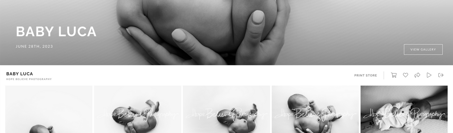 Screenshot of personalized gallery to the printshop link.