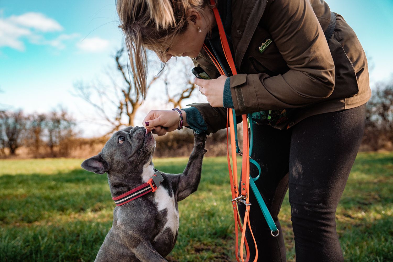 Harrogate Dog Photography