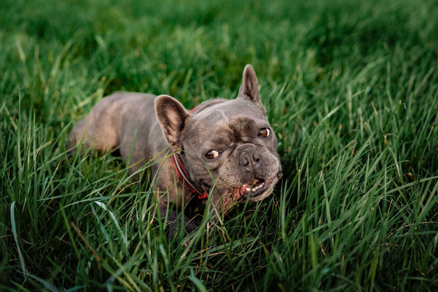 Rachel Donnelly Photography
