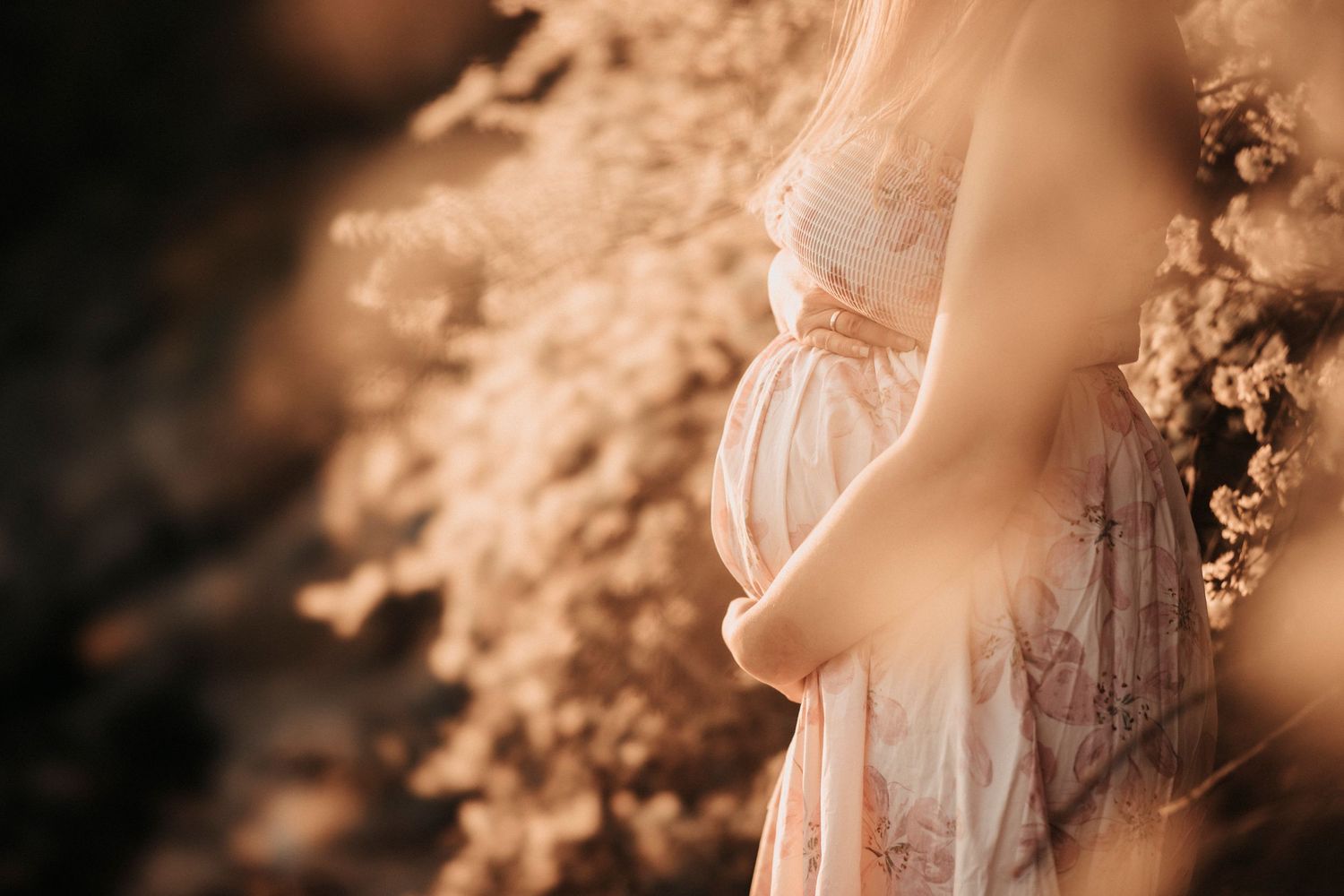 Artistic silhouette of pregnant woman's belly with soft sunlit floral background.