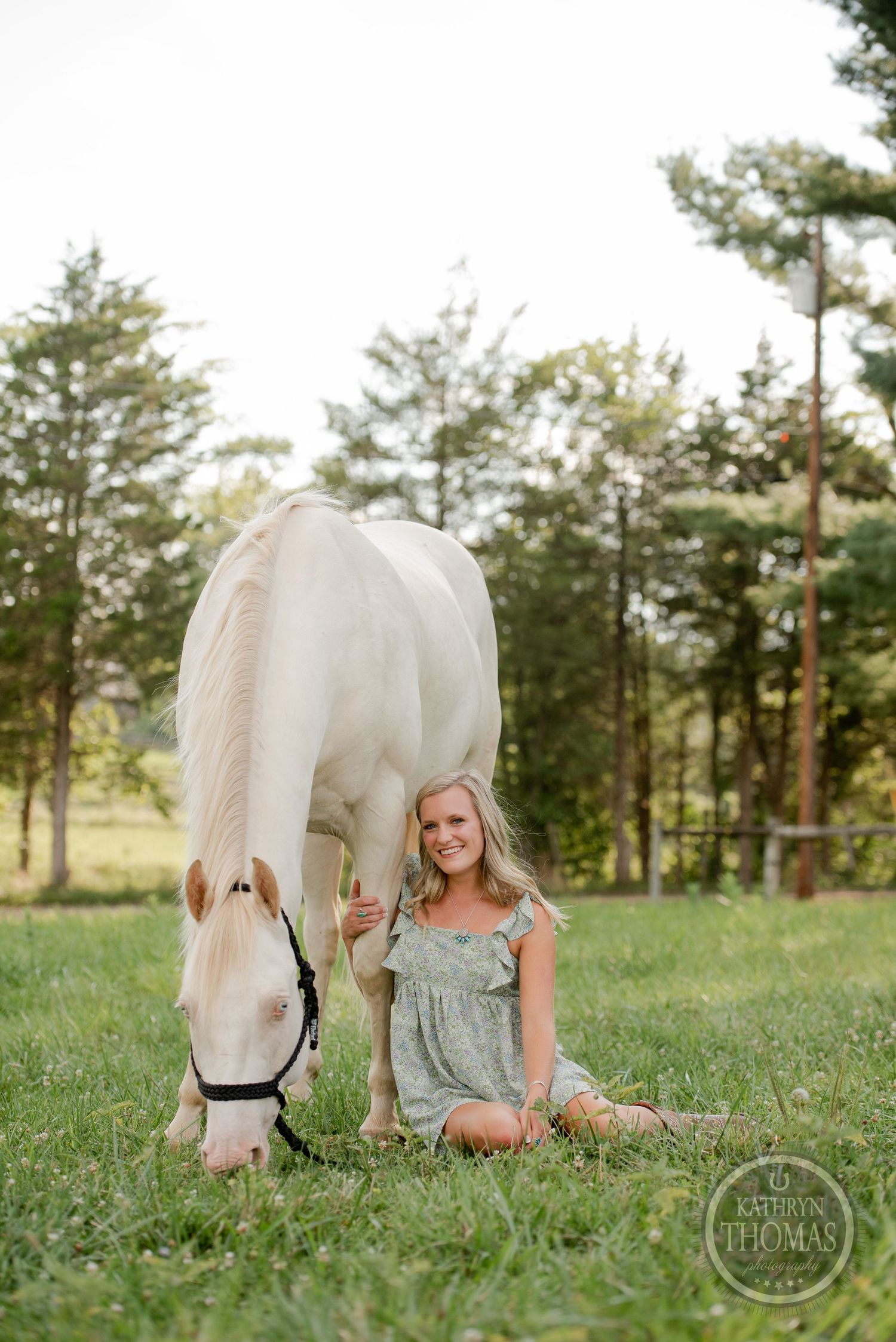 A beautiful white horse grazing in a serene meadow surrounded by pine trees.