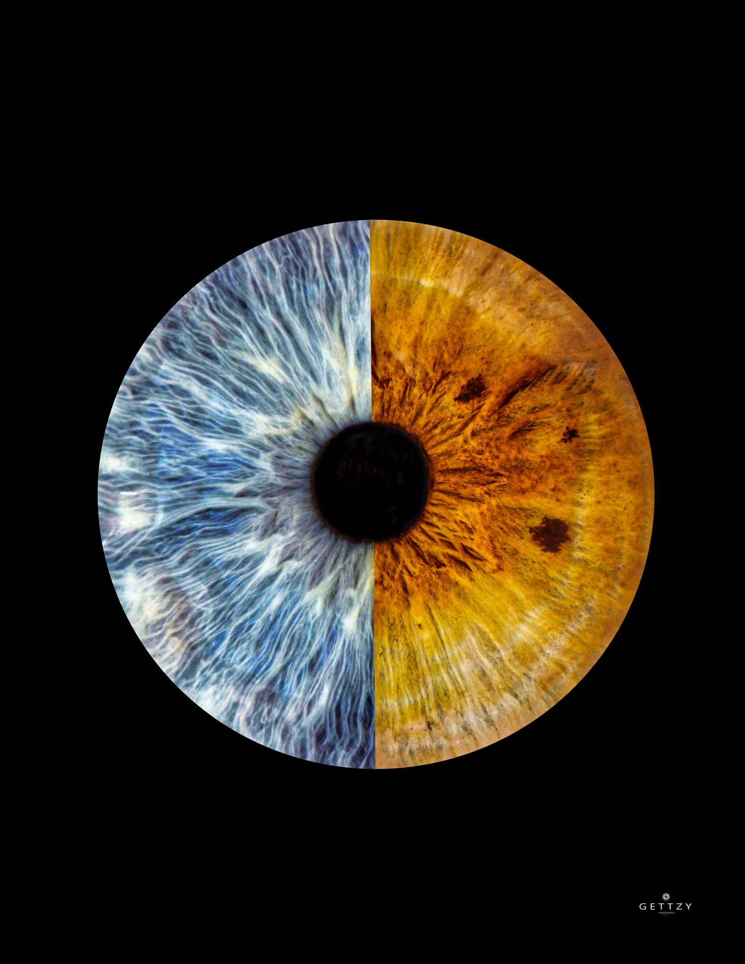 Macro photograph of a half blue and half amber colored human iris on black background.