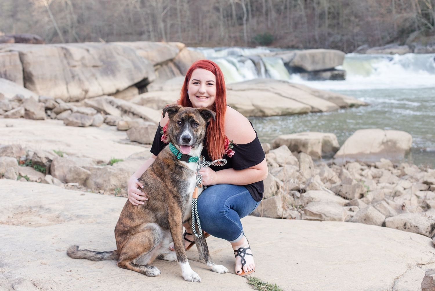 A person in black kneels next to their brindle-colored dog on rocky terrain near a waterfall.