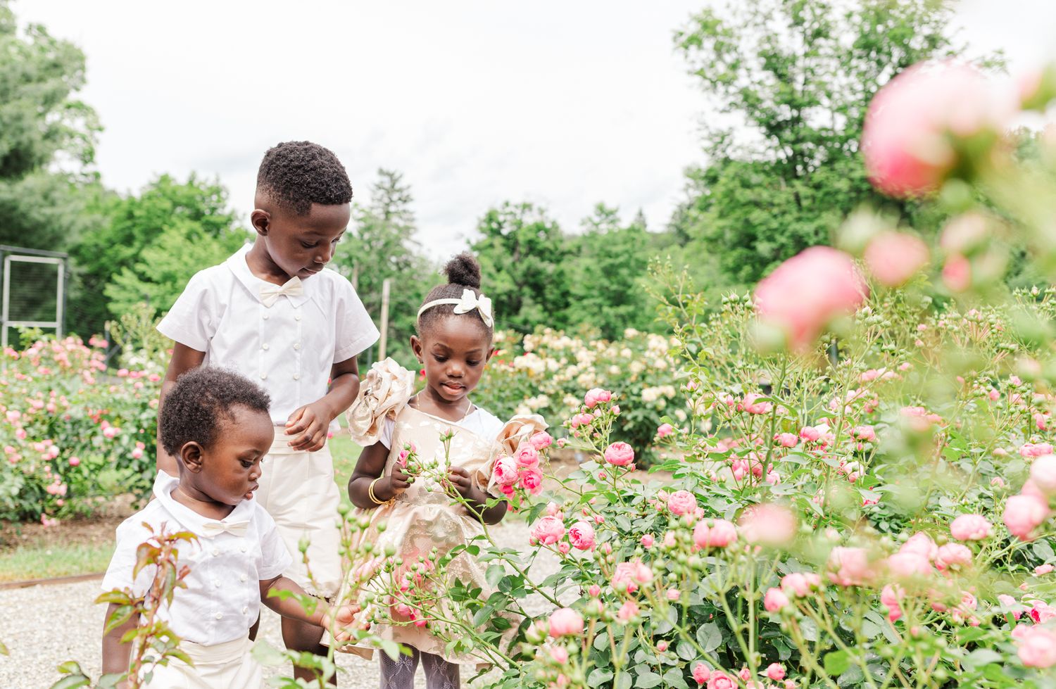 Two brothers and a sister smelling flowers during a family session in the Hudson Valley with Danielle Lauren Photography