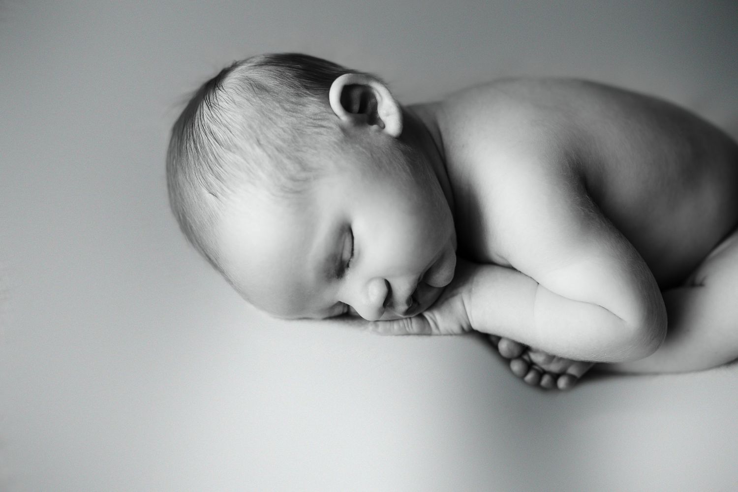 baby photos Tallahassee