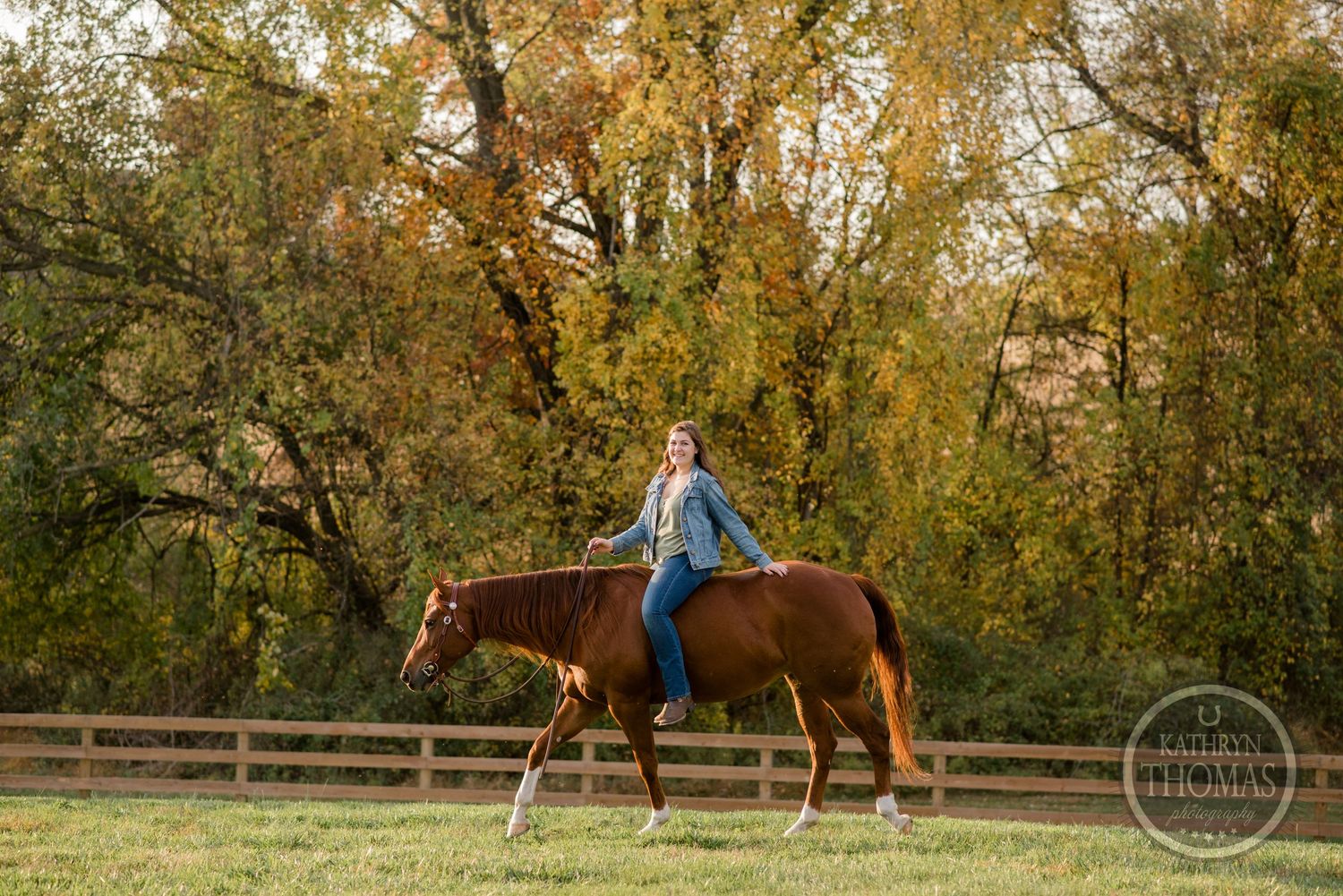 A rider guides their bay horse through an autumn field with golden trees in the background.